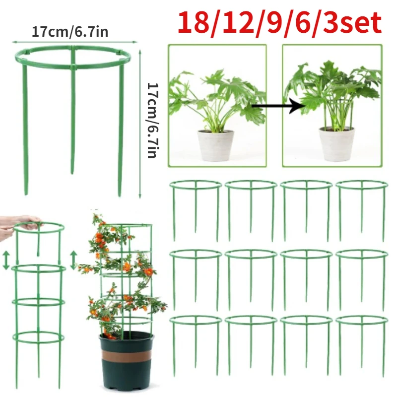 Florist Supp - Gabbie per pomodori Traliccio Colonna in
