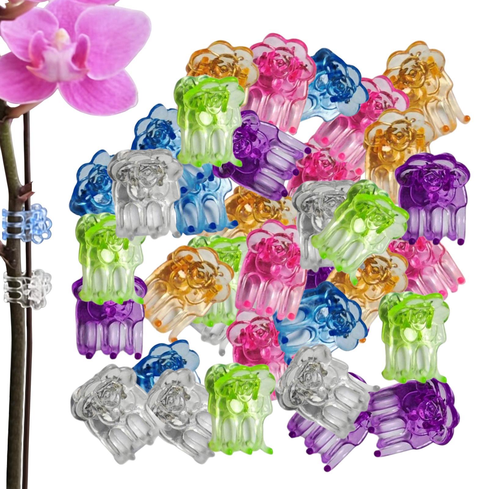 Florist Supp - Clip per Orchidee 60 Pezzi, Morsetti
