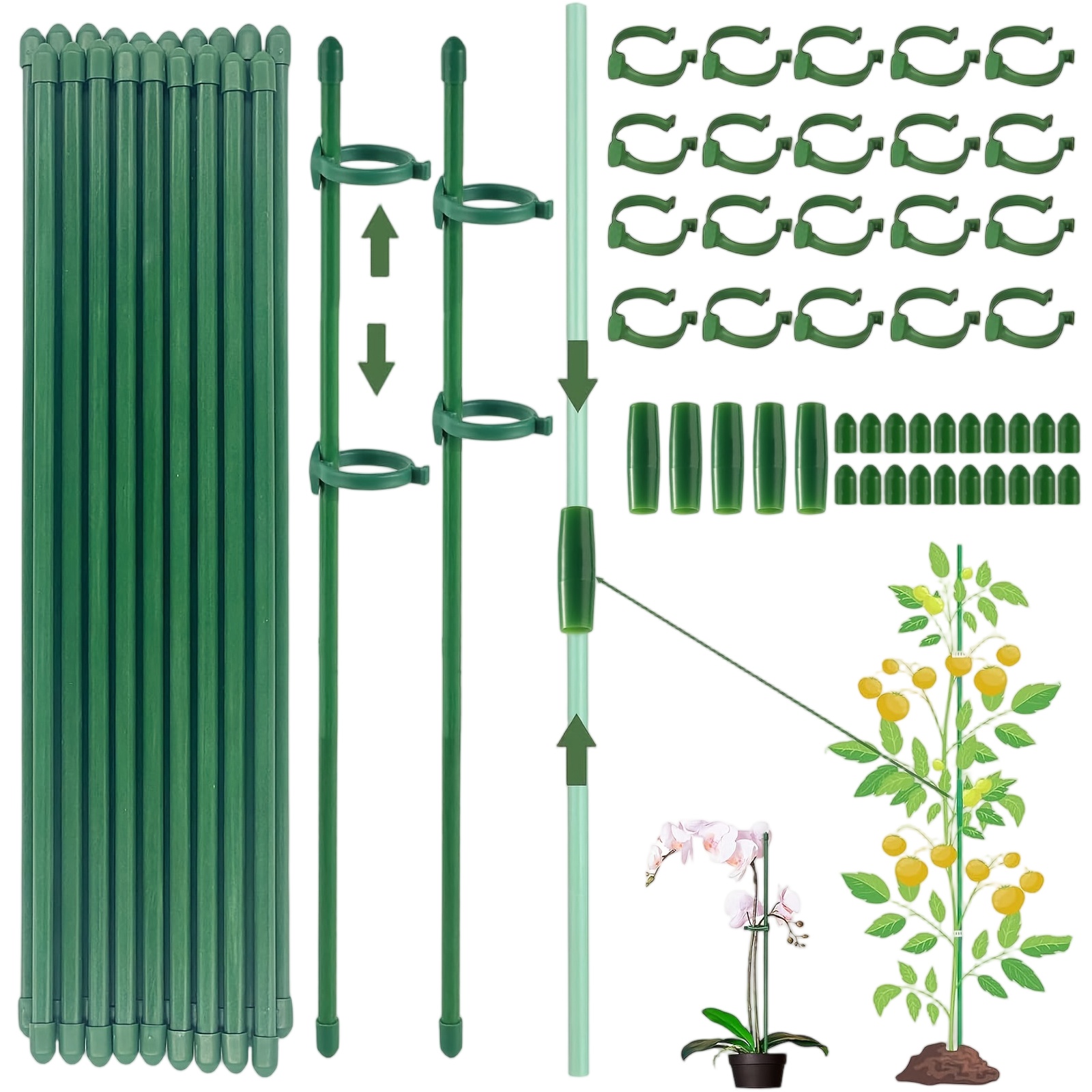 Florist Supp - Supporti per Piante, Pali da Giardino