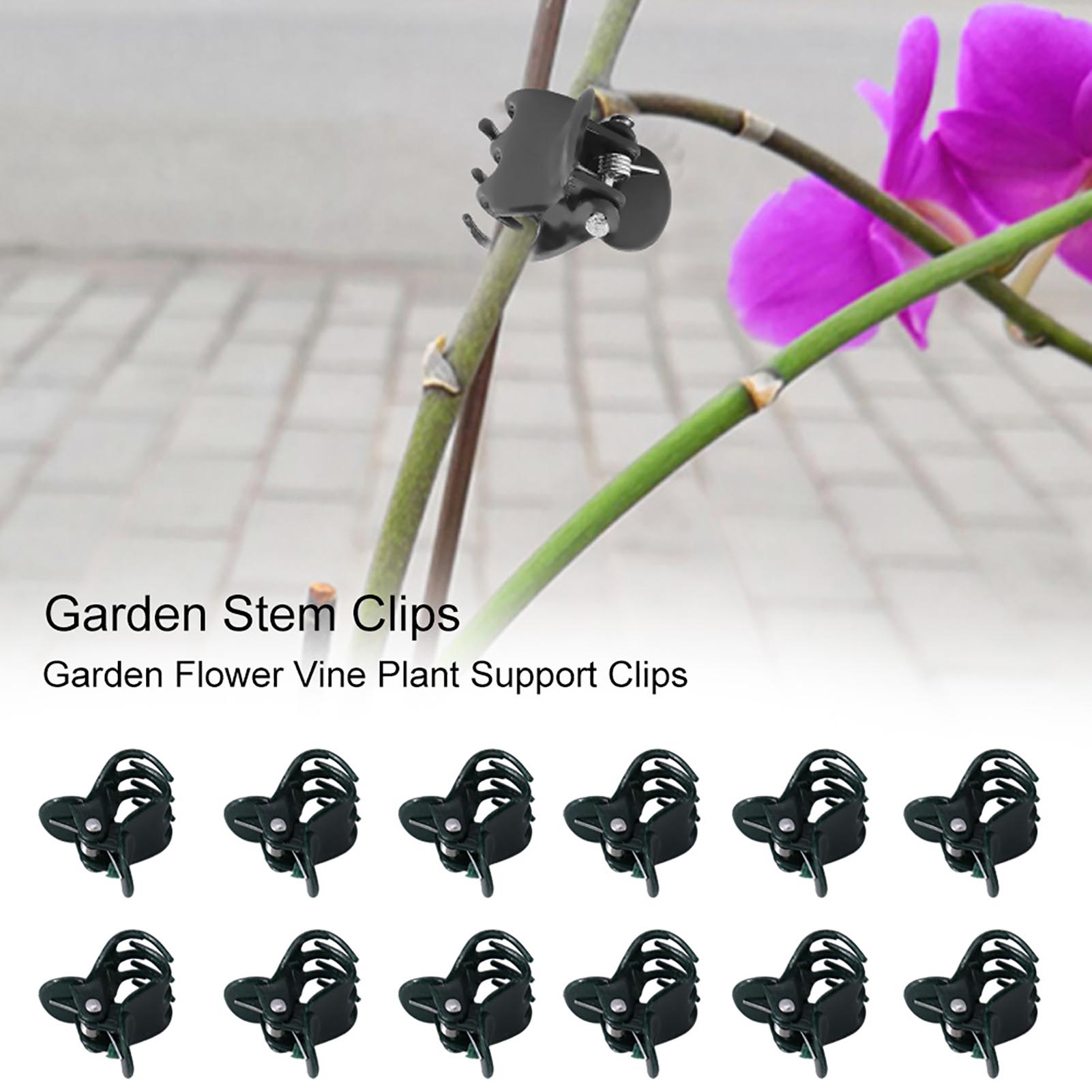 Florist Supp - 100 pezzi mini clip per piante