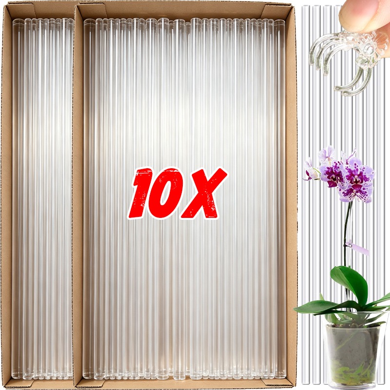 Florist Supp - Supporti per Fiori Riutilizzabili Trasparenti, Pali