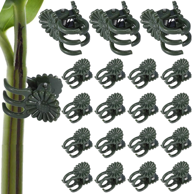 Florist Supp - 20/50/100 pz Clip per piante morsetto