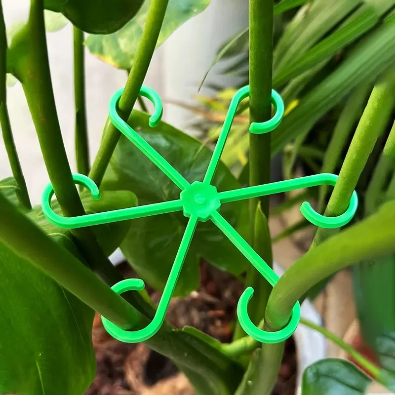 Picchetti di supporto per stel - Florist Supp recensione e prezzo