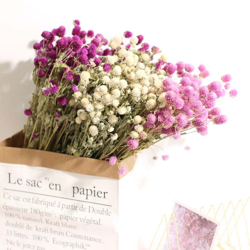 Decorazione della casa di nozz - Natural Florist Supply recensione e prezzo