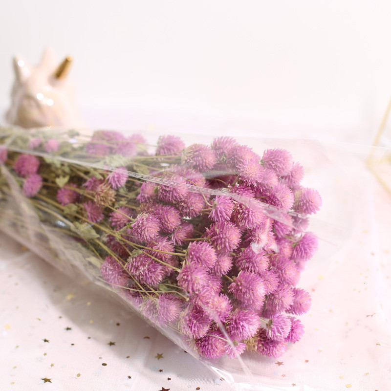 Decorazione della casa di nozz - Natural Florist Supply recensione e prezzo