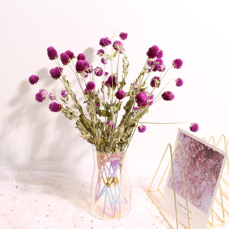 Decorazione della casa di nozz - Natural Florist Supply recensione e prezzo