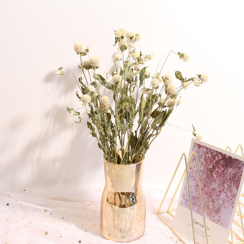 Decorazione della casa di nozz - Natural Florist Supply recensione e prezzo