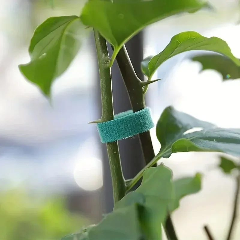 Nastro da Giardino in Nylon pe - Florist Supp recensione e prezzo
