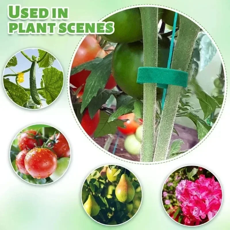 Nastro da Giardino in Nylon pe - Florist Supp recensione e prezzo
