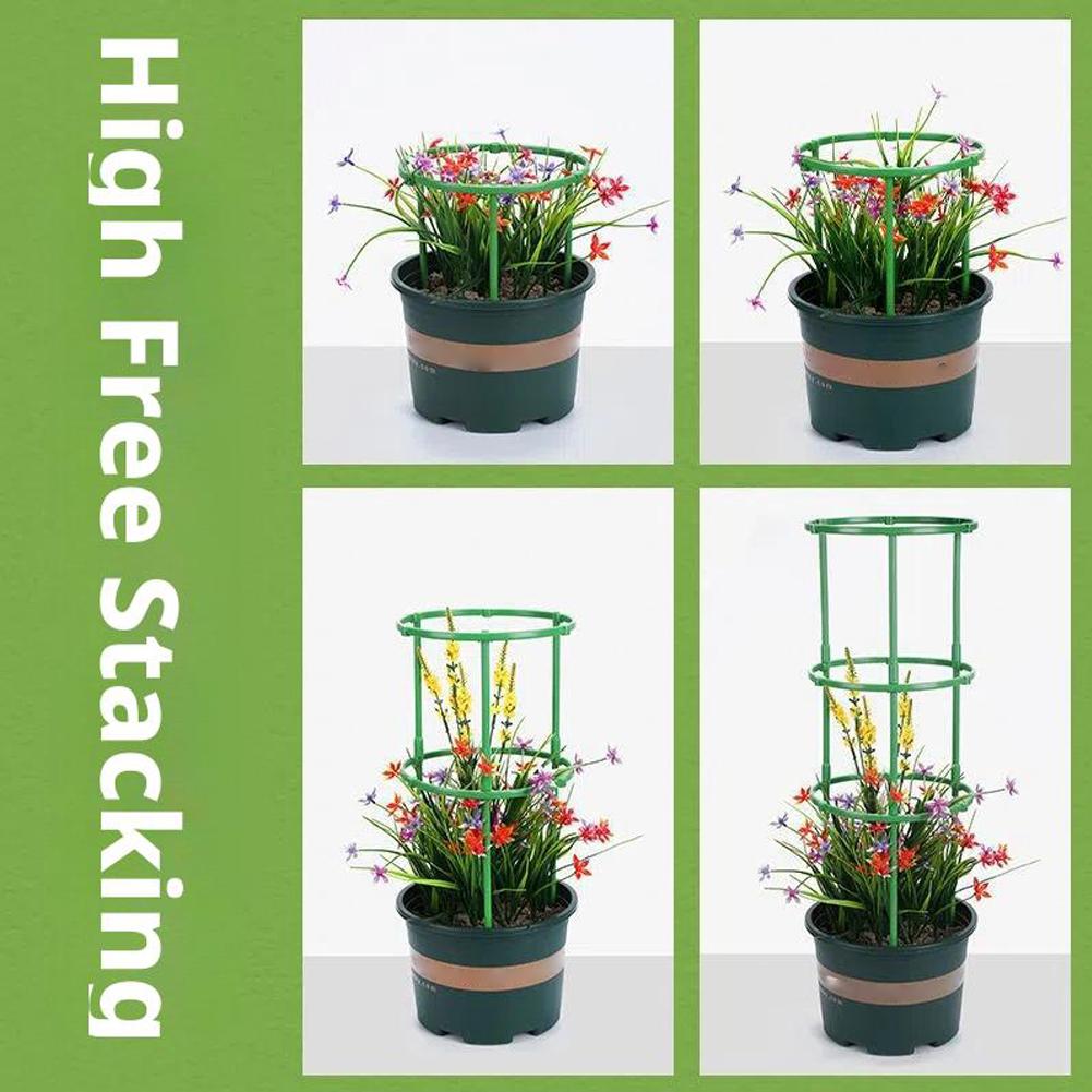 Gabbie per pomodori, traliccio - Florist Supp recensione e prezzo