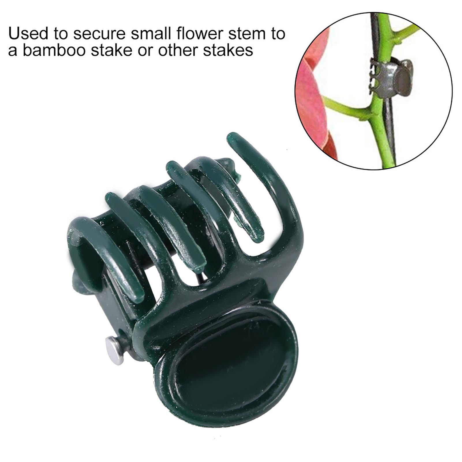 100 pezzi mini clip per piante - Florist Supp recensione e prezzo