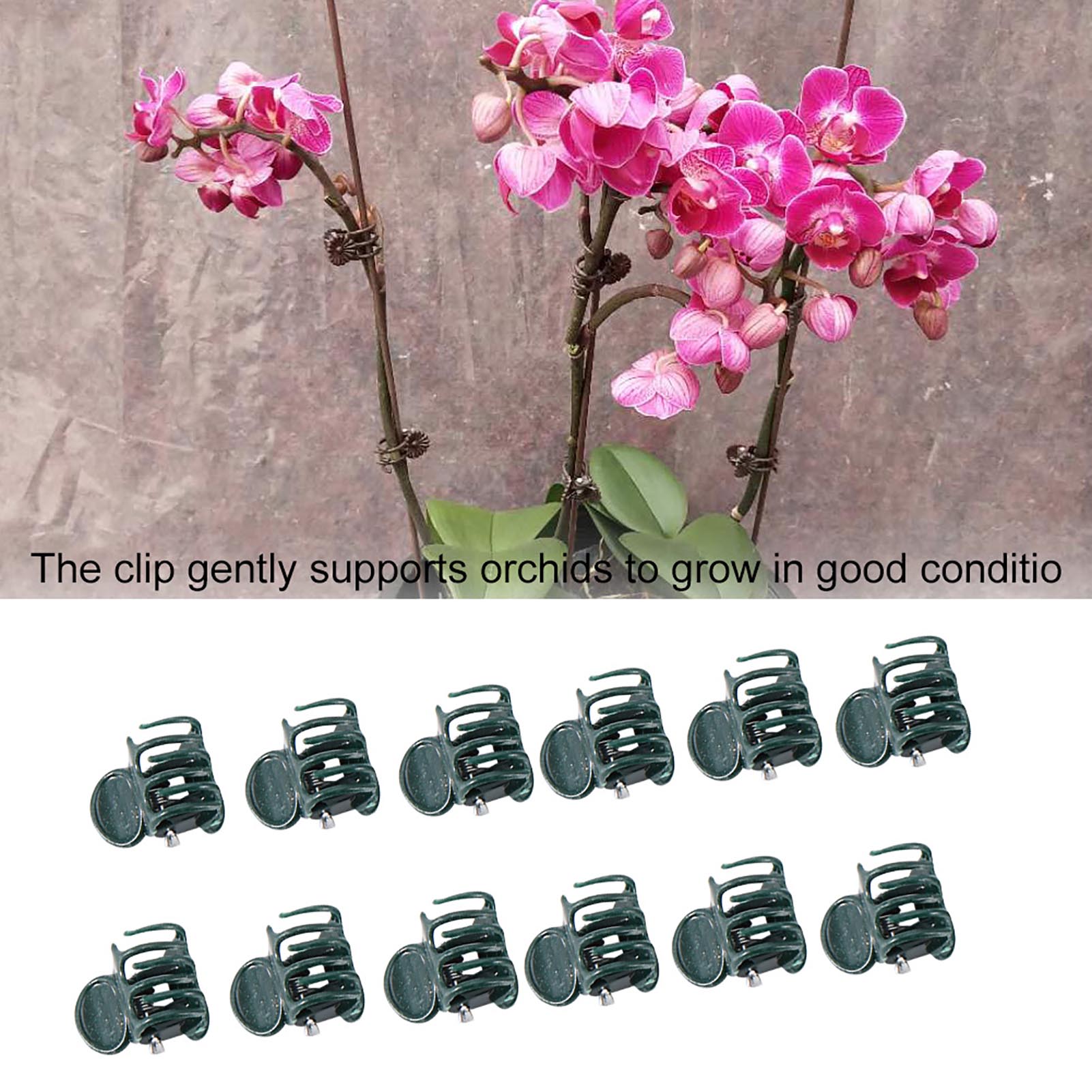 100 pezzi mini clip per piante - Florist Supp recensione e prezzo