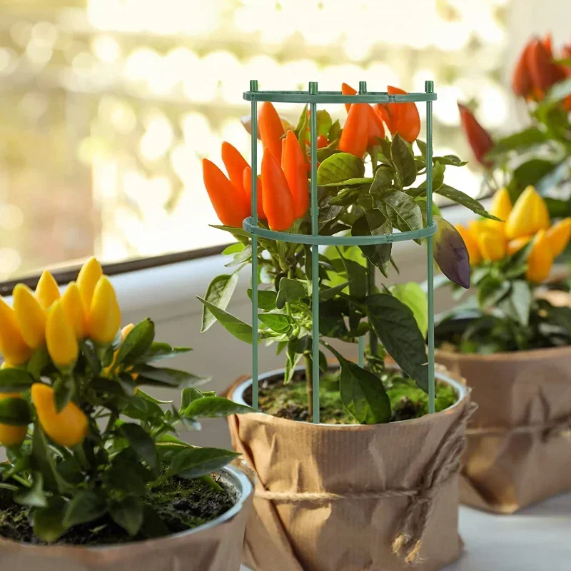 Supporto per piante in plastic - Florist Supp recensione e prezzo