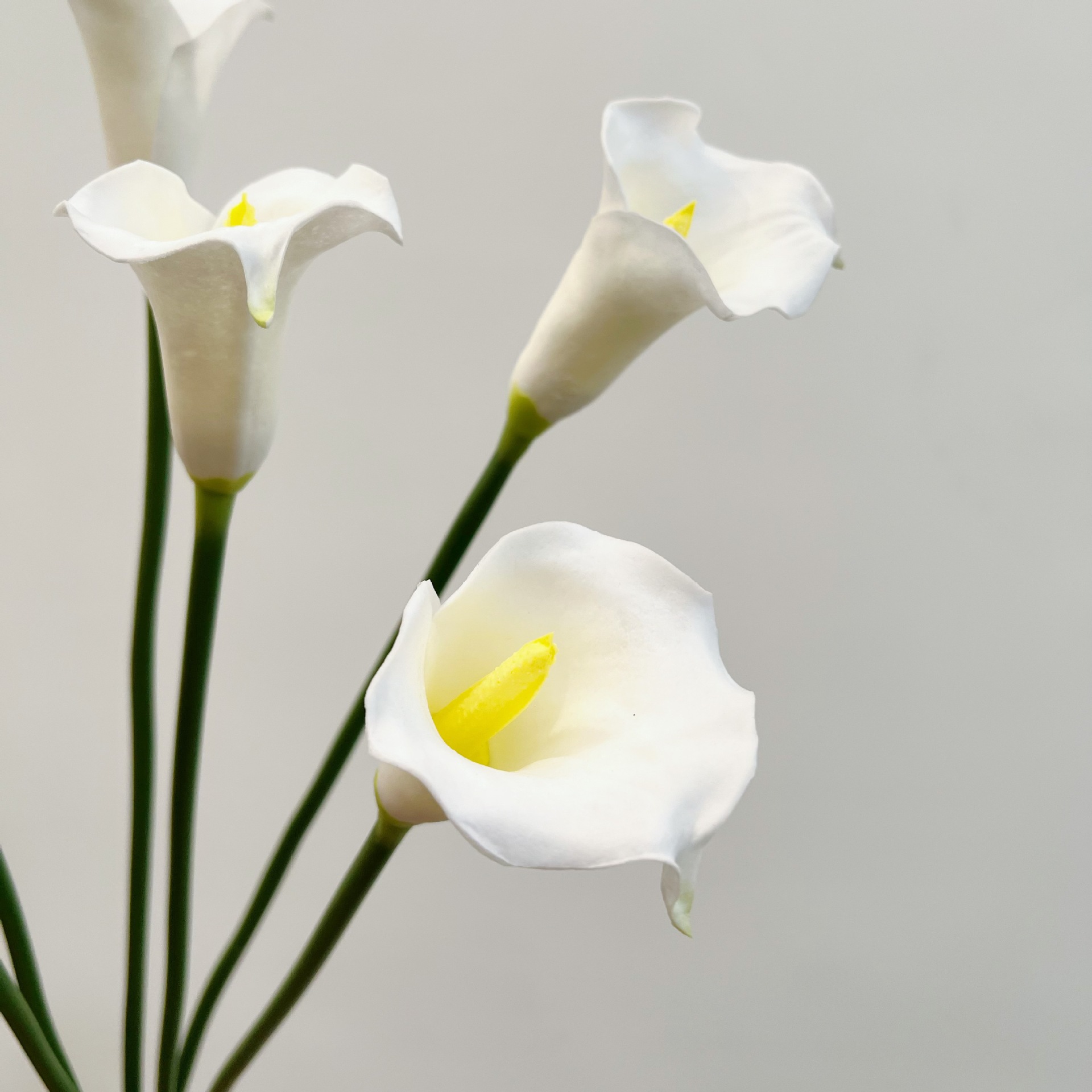 Fiore Artificiale di Calla a S - Florist Supp recensione e prezzo