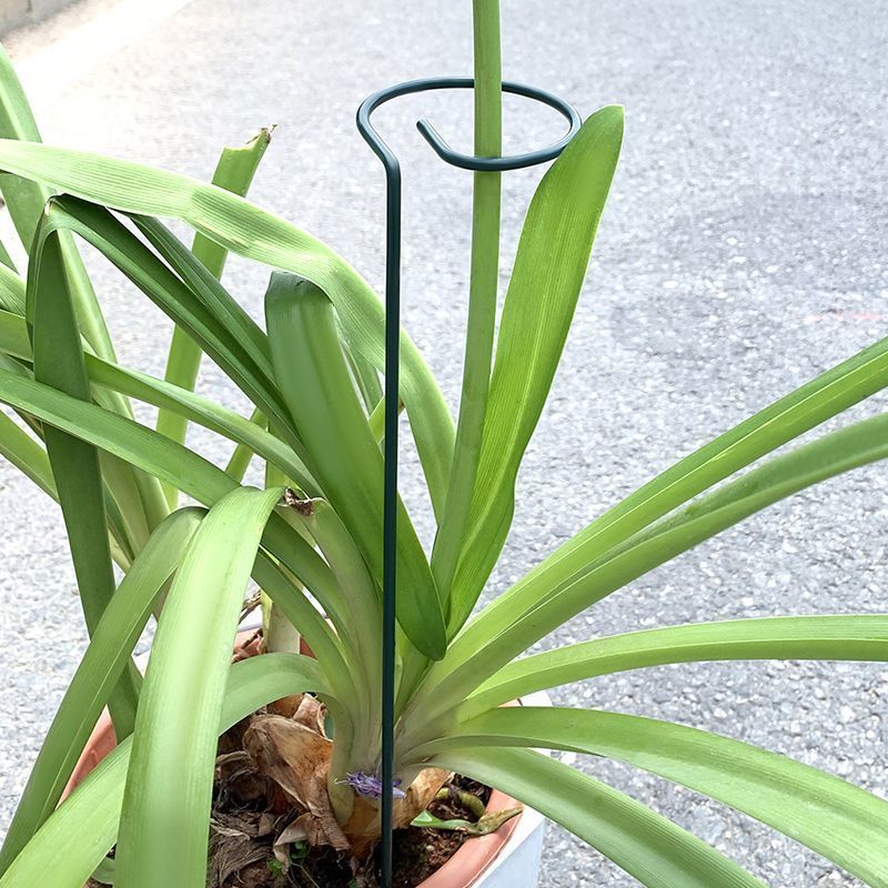 1-10 pezzi in metallo a stelo  - Florist Supp recensione e prezzo