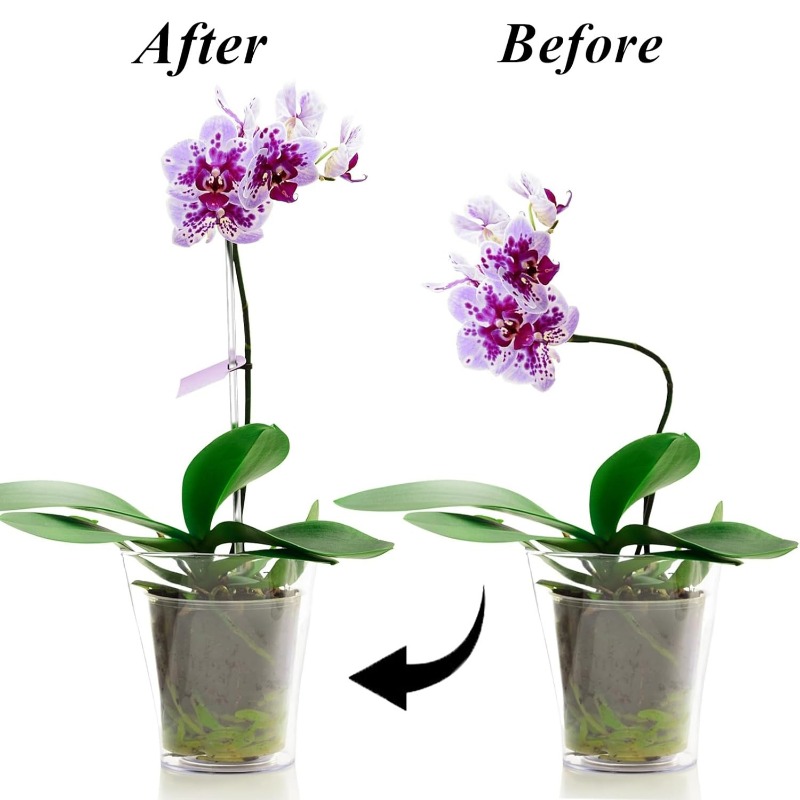 Supporti per Fiori Riutilizzab - Florist Supp recensione e prezzo