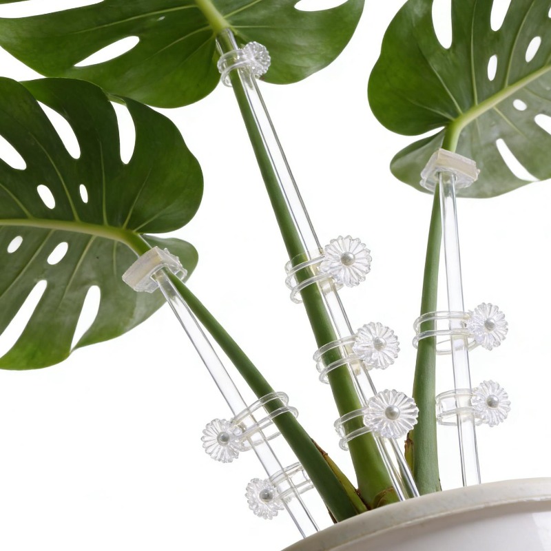 Supporti per Fiori Riutilizzab - Florist Supp recensione e prezzo