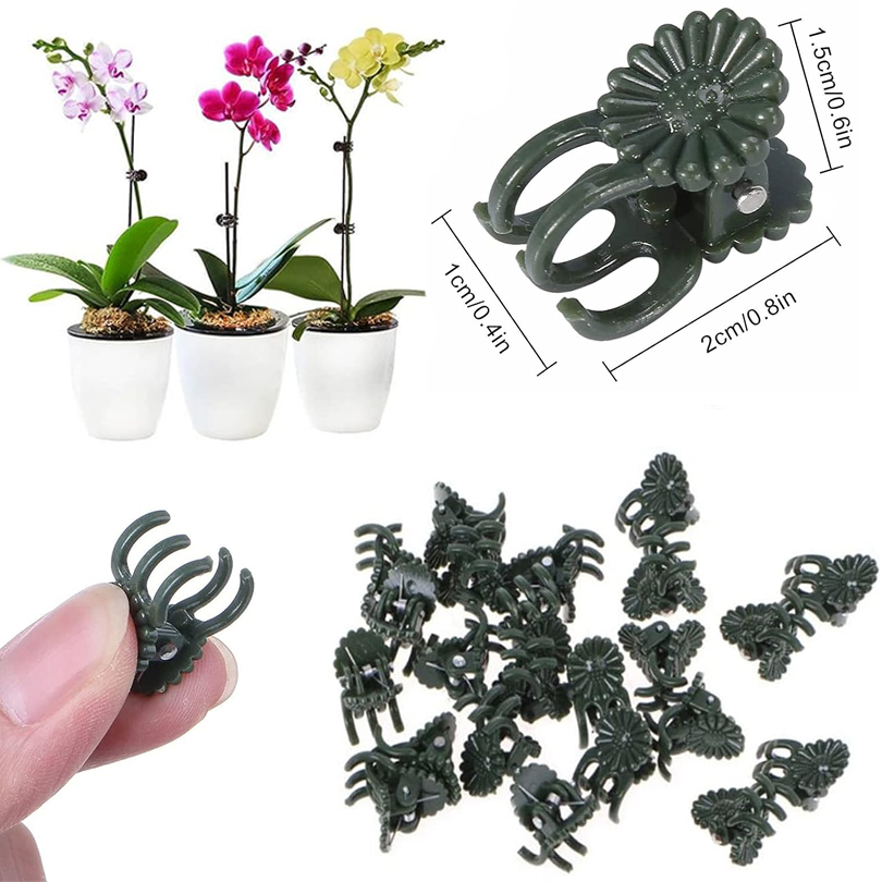20/50/100 pz Clip per piante m - Florist Supp recensione e prezzo