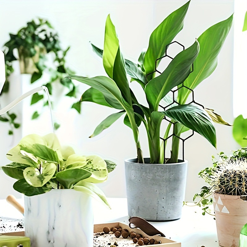 1 Pezzo Griglia per Piante a N - Florist Supp recensione e prezzo